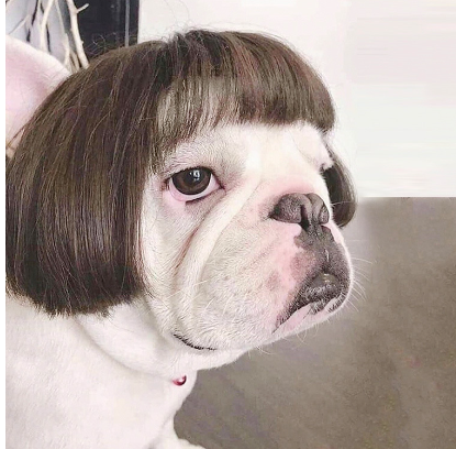 Toshomono Cosplay Wig