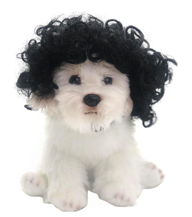 Toshomono Cosplay Wig